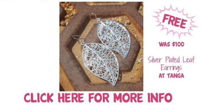 FREE Silver Plated Leaf Earrings! Down From $100!