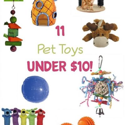 11 Pet Toys Under $10