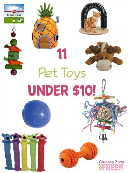 11 Pet Toys Under $10!