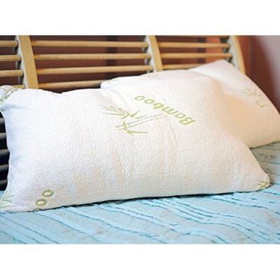 Bamboo Memory Foam Pillow By Regal Comfort – Queen Only $23.49 Plus FREE Shipping!