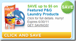$5.00 Rebate on P&G Laundry Products!