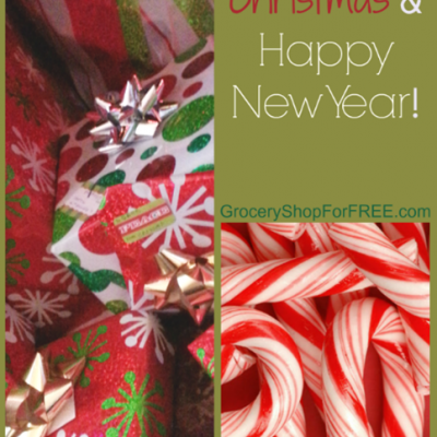Merry Christmas And Happy New Year!