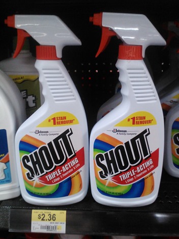 Shout