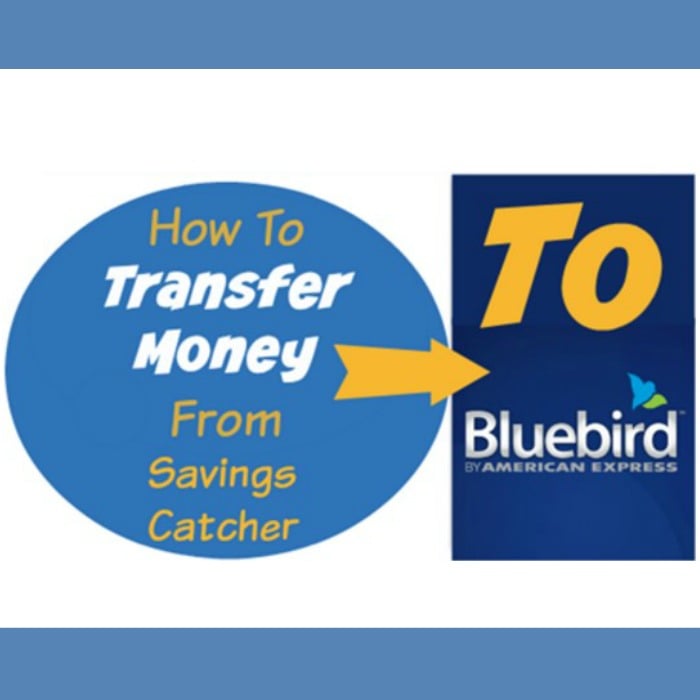 How to Transfer Money From Savings Catcher to Bluebird