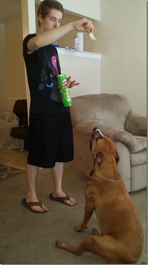Molly wants a Pringle!