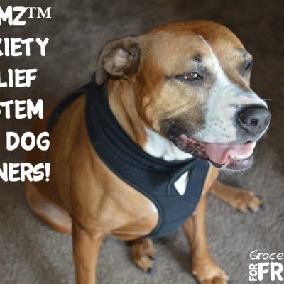 Calmz™ Anxiety Relief System For Dog Owners!