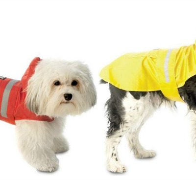 PetRageous Designs Dog Rain Slicker Only $7.69! Down From $22!