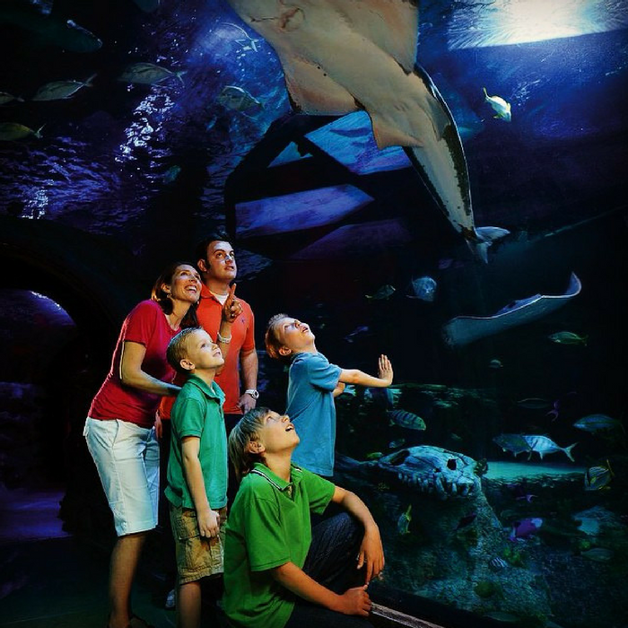 Sea Life Grapevine