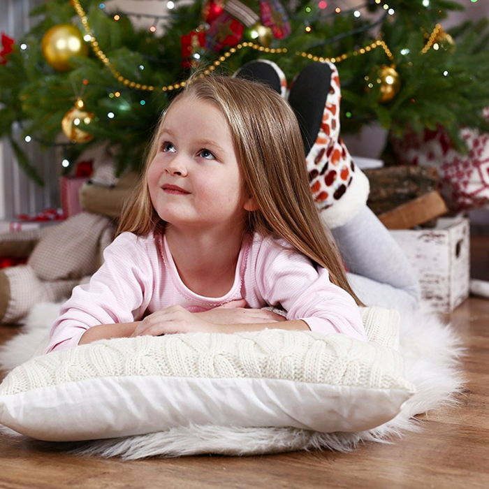 Toddler Travel Pillow
