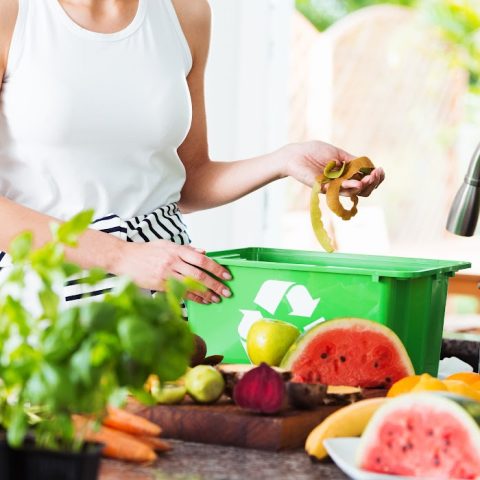 9 Ways To Reduce Food Waste! Save Money And Help The Environment!