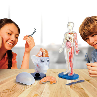 SmartLab Toys Totally Squishy Just $13.64! Down From $40!