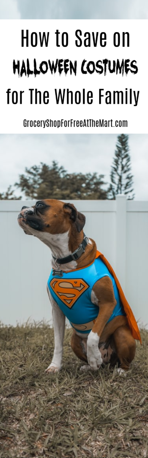 If you're looking for ways to save on this year's Halloween costumes, you've come to the right place.  Click through to see all the tips and tricks you'll need to know to make this year's Halloween a success.