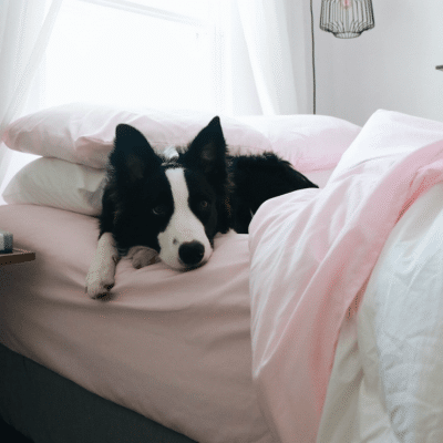 PeachSkinSheets: My Thoughts