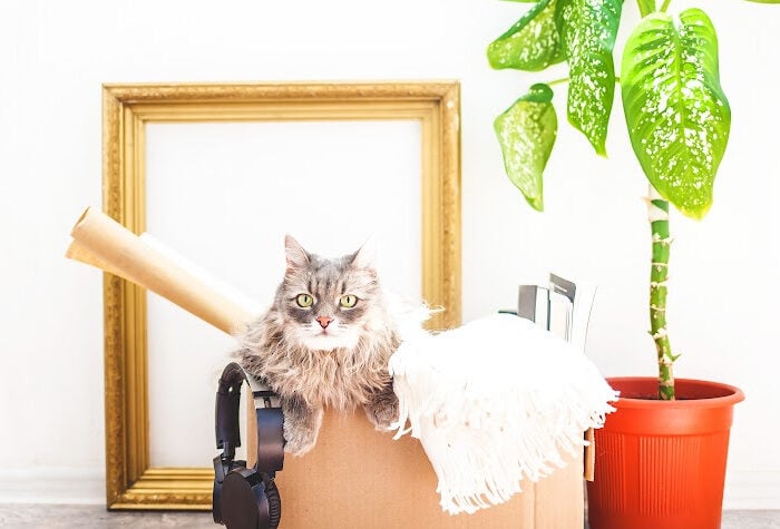 Save Money by Organizing
