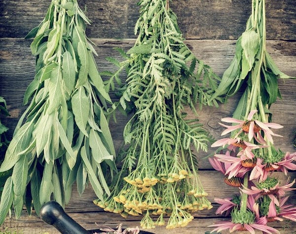 24 Uses For Essential Oils Recipe Guide (1)