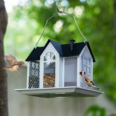 Check Out the Beauty of Kingsyard Bird Feeders and Birdhouses