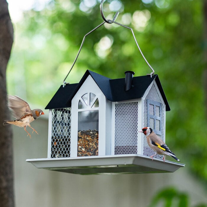 Kingsyard Bird Feeder