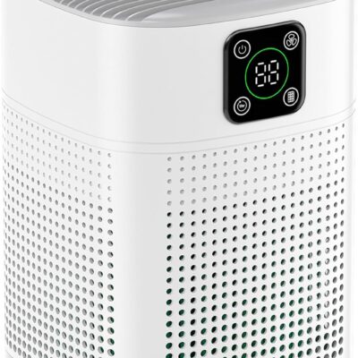 Large Room Air Purifier Just $26.39 (Reg. $44)