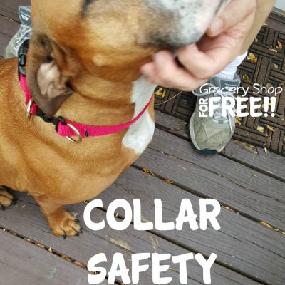 PetSafe® KeepSafe® Break-Away Collar!