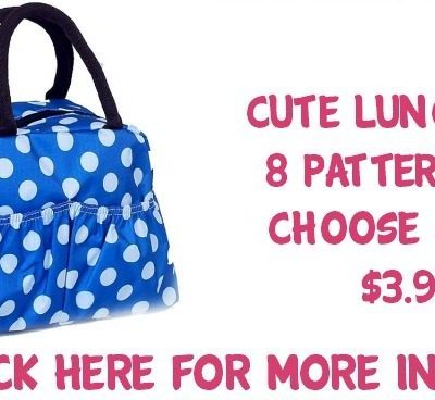 Cute Lunch Bag Just $3.99!  8 Different Patterns To Choose From!