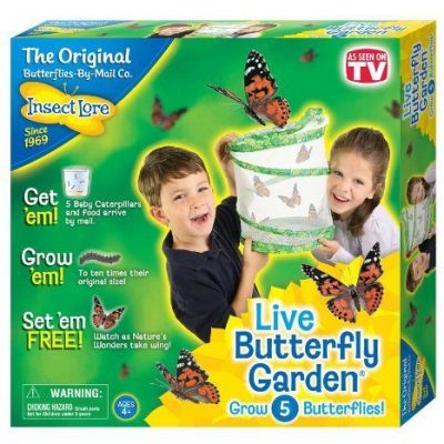 Insect Lore Live Butterfly Garden Just $12.74! (reg. $19.99)