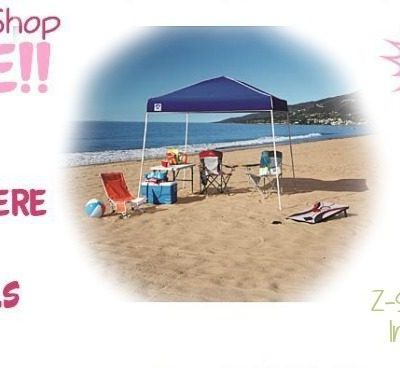 Z-Shade 10’ x 10’ Instant Canopy Just $39.99! Down From $80!