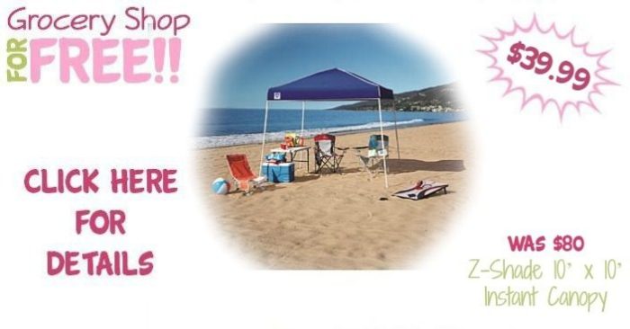 Z-Shade 10’ x 10’ Instant Canopy Just $39.99! Down From $80!