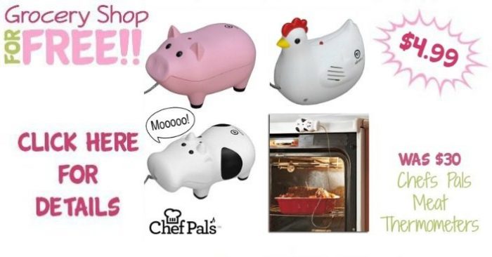Chefs Pals Meat Thermometers Just $4.99! Down From $30! Ships FREE!