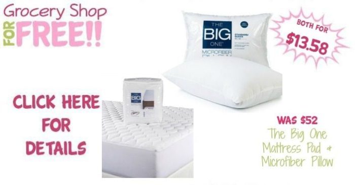 The Big One Mattress Pad & Microfiber Pillow Only $13.58! Down From $52!