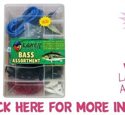 Laker Bass Assortment Just $12.99! Down From $40! Ships FREE!