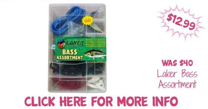 Laker Bass Assortment Just $12.99! Down From $40! Ships FREE!