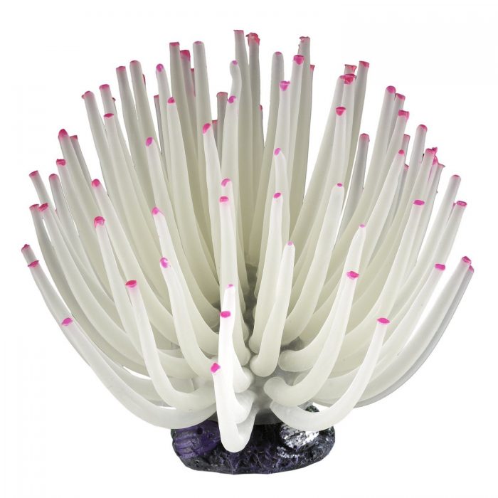 White Aquarium Anemone $6.97! (Reg. $8.49!)