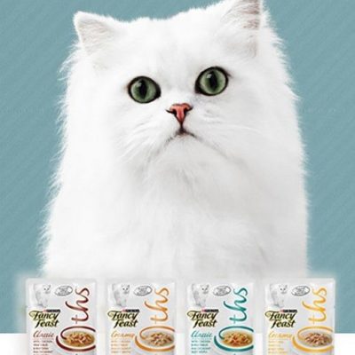 FREE Fancy Feast Broths Cat Food Sample!