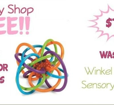 Manhattan Toy Winkel Rattle and Sensory Teether Activity Toy Only $7.59