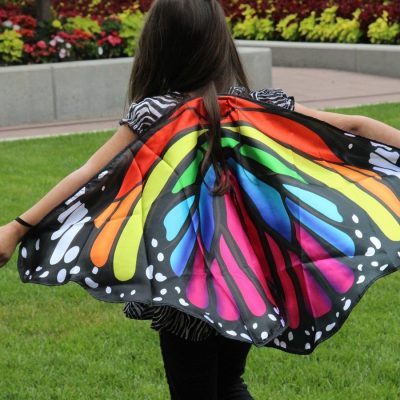Satin Rainbow Monarch Butterfly Wings Only $11.99!