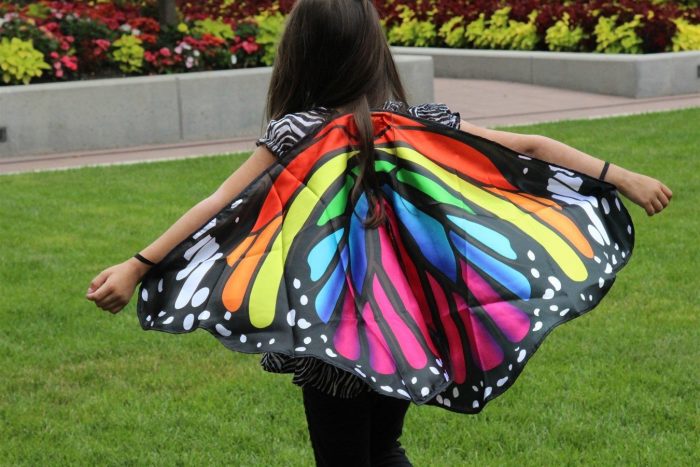 Satin Rainbow Monarch Butterfly Wings Only $11.99!