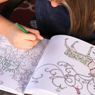 Adult Coloring Book & 24 Colored Pencils Only $10.99!