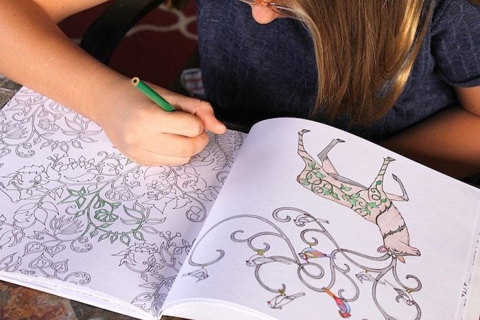Adult Coloring Book & 24 Colored Pencils Only $10.99!