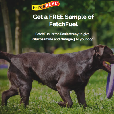 FREE FetchFuel Sample For Your Dog!