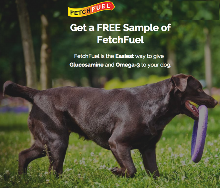 FREE FetchFuel Sample For Your Dog!