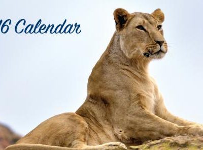 FREE Four Paws 2016 Calendar!