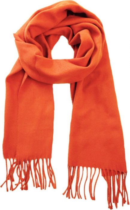 Geoffrey Beene 12" X 72" Cahsmé Scarf Made in Italy Only $12.99!
