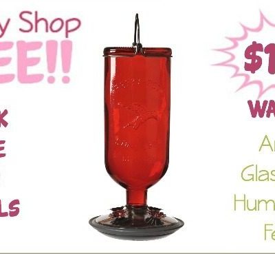 Antique Glass Bottle Hummingbird Feeder $14.95! (Reg. $22)