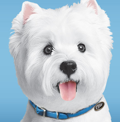 FREE Cesar Savory Delights® Entrée Dog Food!