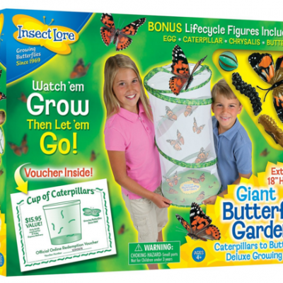 Insect Lore Giant Butterfly Garden Just $17.75 Down From $30!