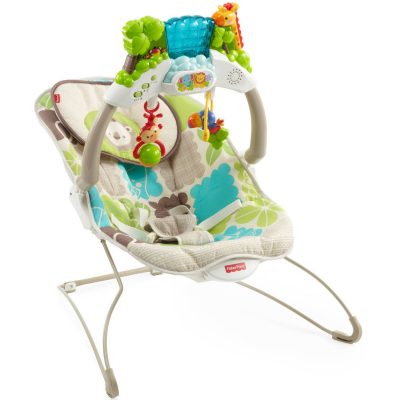 Fisher Price Rain Forrest Bouncer Just $30.52 Down From $59.44!