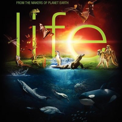 BBC Series “Life” On DVD Just $7.99! (Reg. $70!)