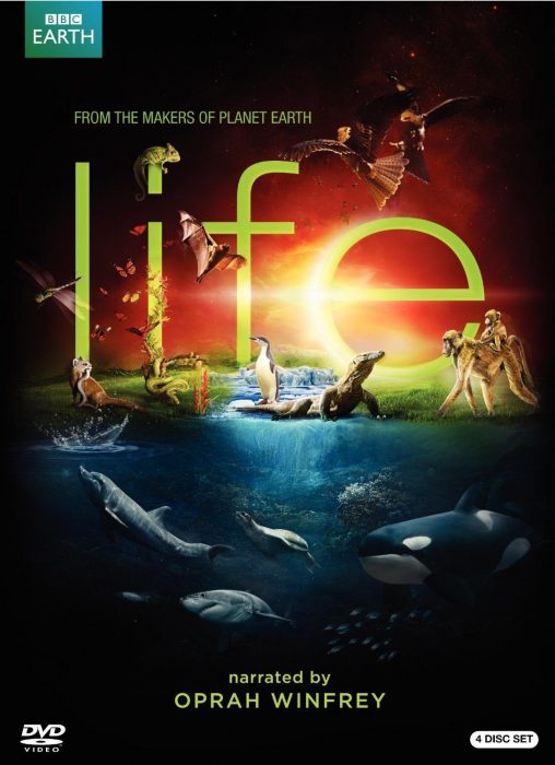 BBC Series "Life" On DVD Just $7.99! (Reg. $70!)