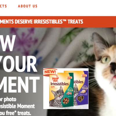 FREE Meow Mix Irresistibles Cat Treat!