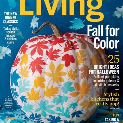 Martha Stewart Living Just $5!
